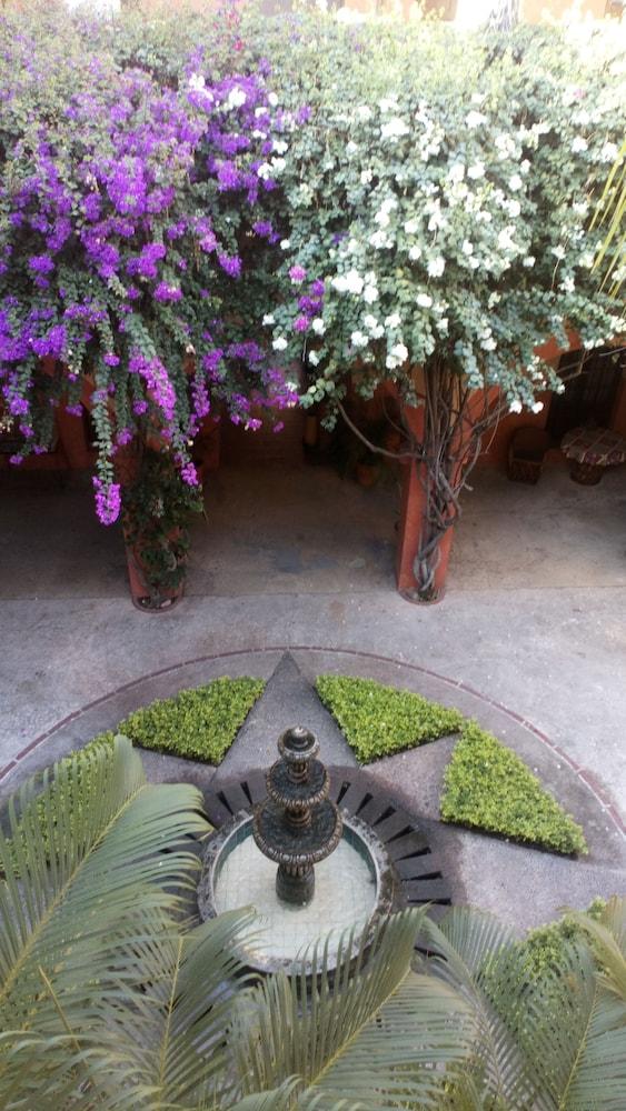 The Melville Boutique Hotel 马萨特兰 外观 照片