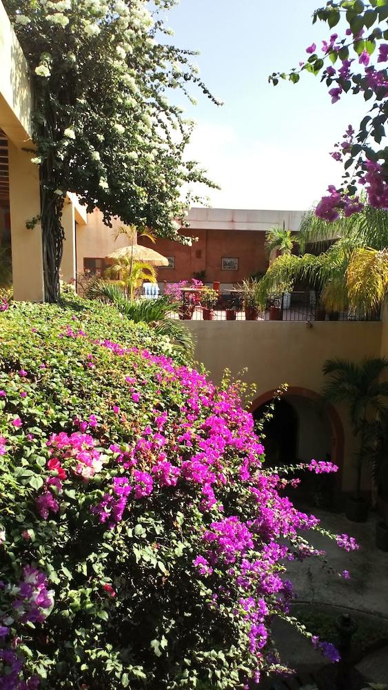 The Melville Boutique Hotel 马萨特兰 外观 照片